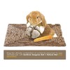SunGrow Assorted Rabbit & Cat Chew Balls, Teething Activity Toy
