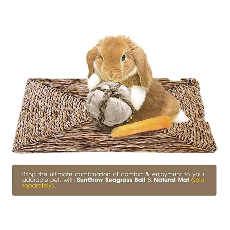 SunGrow Assorted Rabbit & Cat Chew Balls, Teething Activity Toy