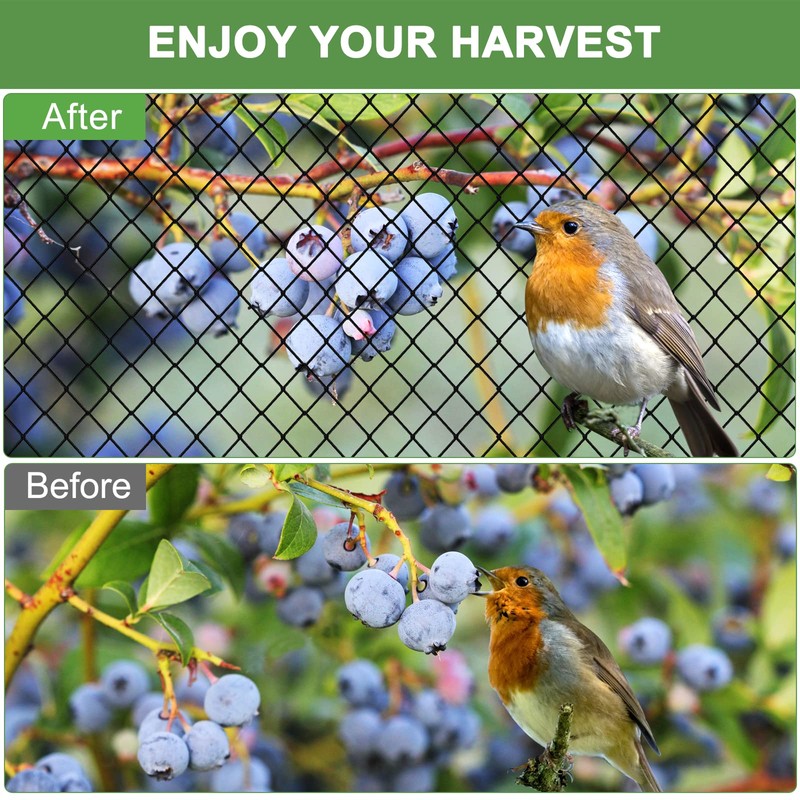 Bird Netting - 50'x50' Heavy Duty Nylon Net with 2'
