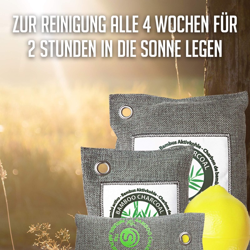 Bamboo Shoe Odour Remover