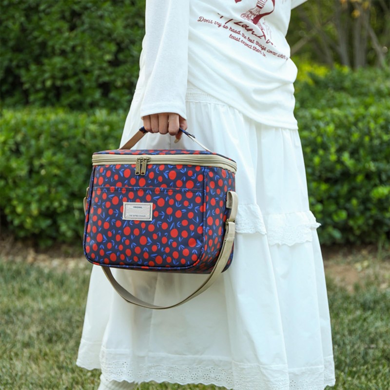 Nanxson Insulated Lunch Bag, Large Reusable Cool Bag, Waterproof Picnic