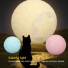 Peppy Pet Ball for Cats with Led Flash Colorful Lights