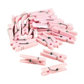Pastel Pink Mini Clothespin Party Favors (48 pieces)
