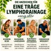 Lymphatic Drainage Liposomal, Blood Circulation, Phlebitis, Blood Pressure, Detox Cleanse