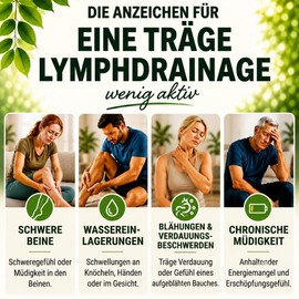 Lymphatic Drainage Liposomal, Blood Circulation, Phlebitis, Blood Pressure, Detox Cleanse Echinacea, Traditional Plant Mixture, 60 ml