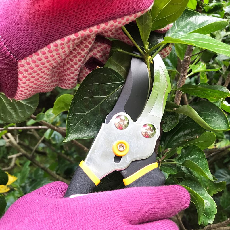 Centurion 1299 8" Steel Bypass Pruning Shears, Garden Shears, Hand