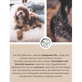 Hund Lebertran Zinksalbe 50g I Wundsalbe bei Verletzungen, Ekzem und Liegeschwielen - Balsam für Hunde, Katzen, Pferde & Kleintiere mit Zink, Lebertran und Ringelblumenöl