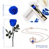 OSIAX Single Preserved Rose with Necklace (Royal Blue)