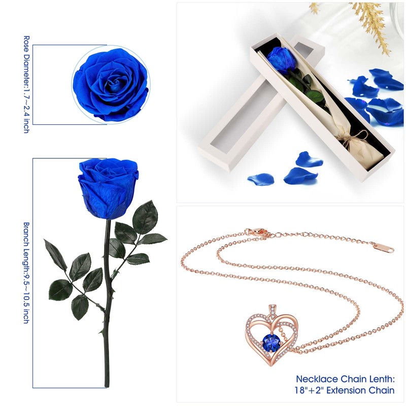 OSIAX Single Preserved Rose with Necklace (Royal Blue)