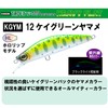 DUEL(デュエル) ハードコア トラウト ヘビーフラット 40ヘビーシンキング 40mm ケイグリーンヤマメ