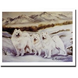 Samoyed Trio in Snow Notecards