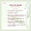 Florigan crema hidratante 110 ml | células madre para todo