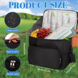 10L Waterproof Insulated Picnic Lunch Bag with Adjustable Shoulder Strap,Large Leakproof Soft Cool Tote Bags for Men Women Adult Thermal Reusable Lunch Box for Work Camping,Outdoor,BBQ,Party