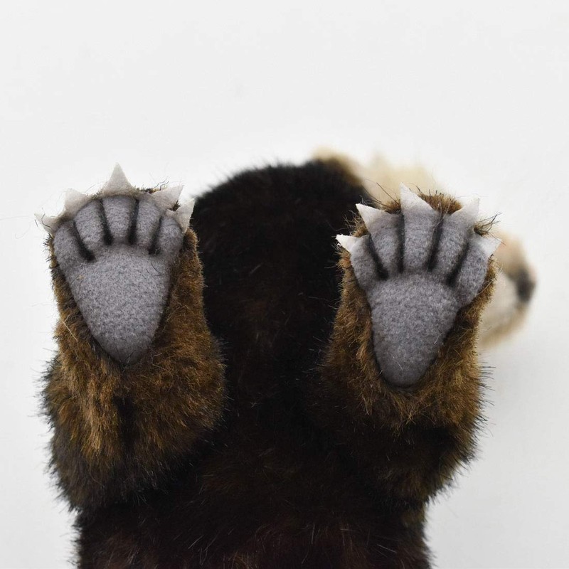 BH7827 HANSA European Kenagatachi 41