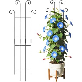 Genérico Tutor para Plantas,Soporte de Metal para Crecimiento Vertical Tutor para Enredaderas para Macetas de Interior Monstera Tomate Hiedra Clemátide