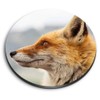 1 x Round MDF Magnet - Red Wildfox Nature Wildlife