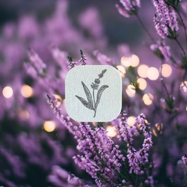 AROMA STICKERS (Lavender, Pack of 3-100% Natural Essential Oil Mask Scented Stickers for Face Mask & Pillow (12 stickers/pc) -Pure Essential Oil Scented Mask Patch/Personal Aroma/Relaxing