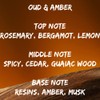 Estiara Luxe Oud And Amber for Unisex - 3.4 oz