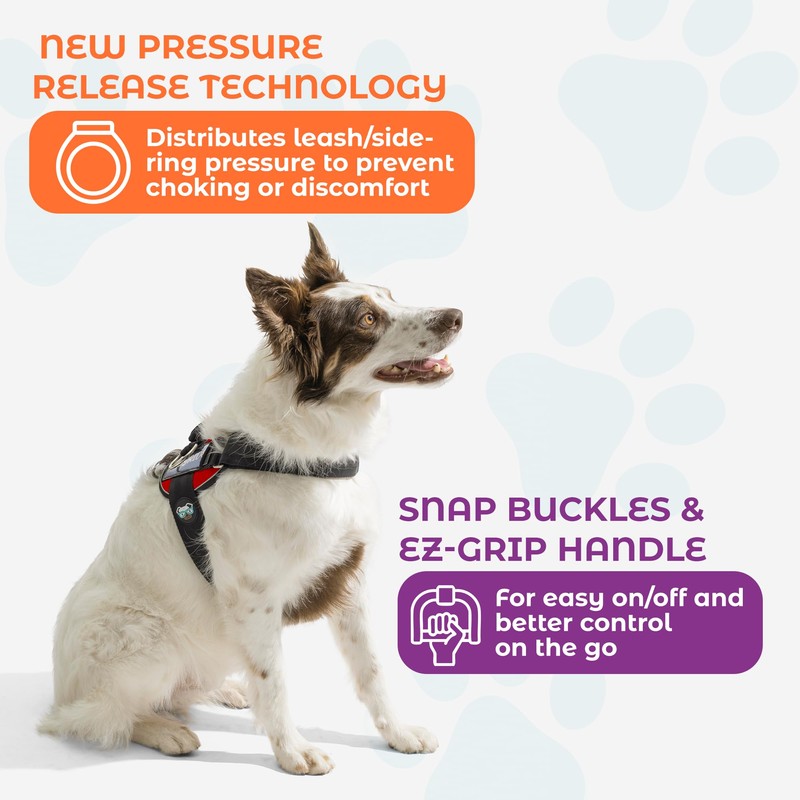 Joyride Harness 2.0 - The Original Side Ring No Pull