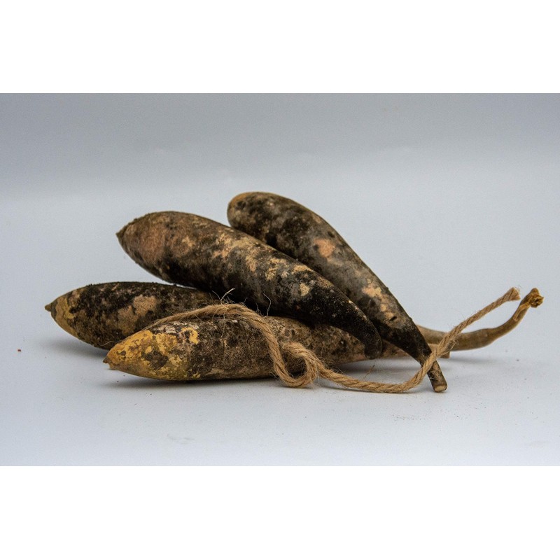 Primitive Banana Gourds - Bag of 24 - Unwashed -