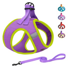 Dog Harness with Leash Set, No Pull Dog Harness for Easy Walk, Adjustable Reflective All Weather Step-in Puppy Harness with Soft Mesh Padded Pet Vest for Small Medium Large Dogs and Cats(Purple,L)