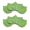 Creative Leaf Sticky Notes, 500 Sheets, 10 Pack, Green Memo