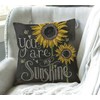 Swono You are My Sunshine Quote Throw Pillow Case Cushion