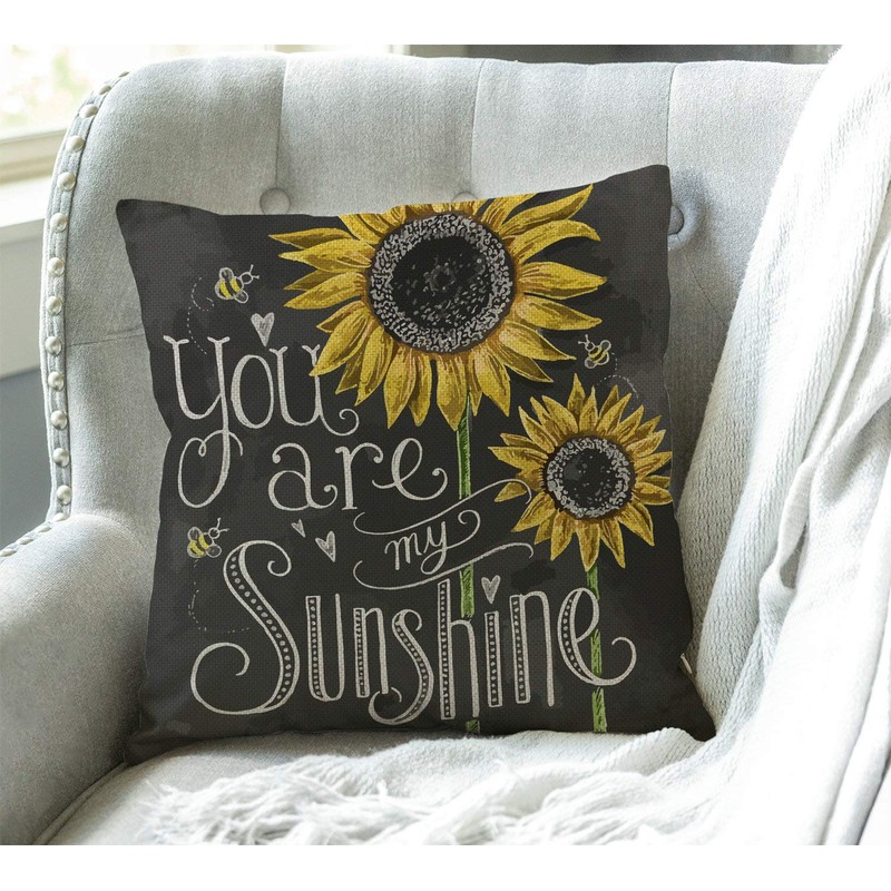 Swono You are My Sunshine Quote Throw Pillow Case Cushion