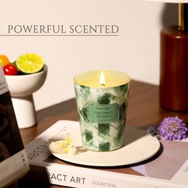 HomeLights 1-Wick Candles for Home Scented - 6.7oz Soy Wax Blend Candle Long-Lasting Fragrance, Scandinavian Minimalist Design Home Decor and Housewarming Gifts, Coconut Island