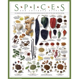 Spices and Culinary Herbs Chiles Curry Garam Masala Parsley Sage Rosemary Thyme Ginger Pickling Garlic Cumin Paprika Cayenne Basil Cilantro Herbs de Provence Print Poster (16X20 2 Print Set)