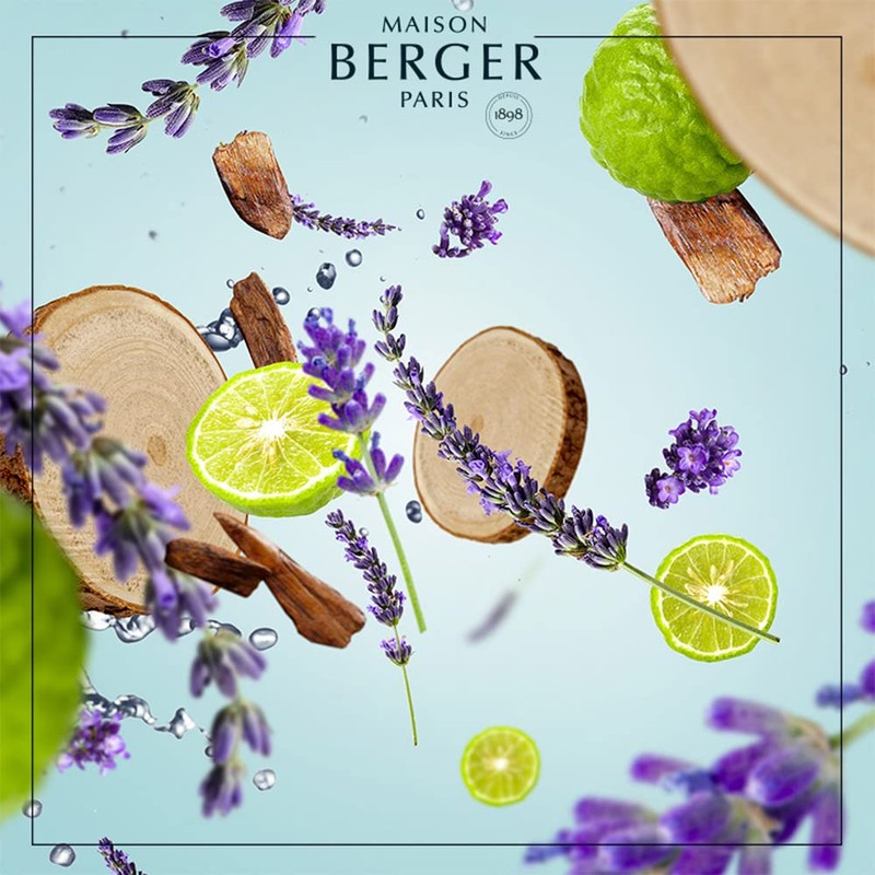 MAISON BERGER Fresh Wood Scented Bouquet Refill 200ml