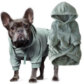 Pet Passion Cooper II Organic Cotton Velour Dog Hoodie Pet Coat for Small, Medium and Large Dogs, Sage, Small