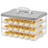 BOUTICOL 3-Layer Deviled Egg Container with Lid and Handle, Clear
