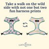 Lucy & Co. Cute Reversible Dog Harness Walking Halter -