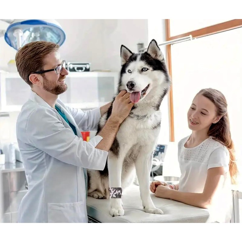 Dual-Purpose Bandage Wrap – for Pets & Humans