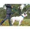 Mumoo Bear Rope Dog Lead 1.5m with Comfortable Padded Handle