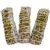Salvia Blanca - 3 Pack White Sage from California for