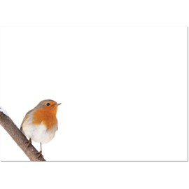 doodlecards Blank Christmas Card Robin on Snow Medium Size Christmas Card with Plain Envelope