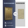 ZILLSEA 2-Pack Antique Brass Blank Wall Plates, No Device Blank