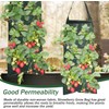 Hanging Strawberry and Tomato Planter Bags, 4Pcs 8 Hole Upside