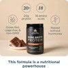 Ancient Nutrition Protein Powder Made from Real Bone Broth, Chocolate,