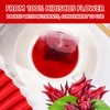 Premium Hibiscus Tea Bags, 60 Count, 100% Pure & Natural