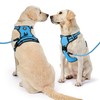 NESTROAD Dog Harness, Dog Leashe, Adjustable, Night Reflective, Small, Medium
