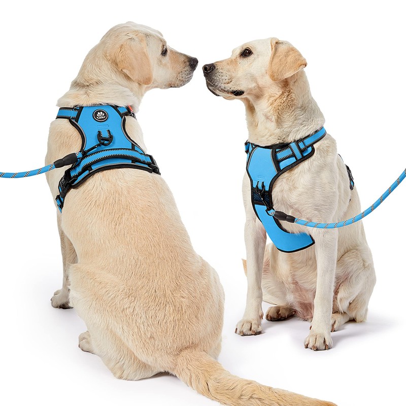 NESTROAD Dog Harness, Dog Leashe, Adjustable, Night Reflective, Small, Medium