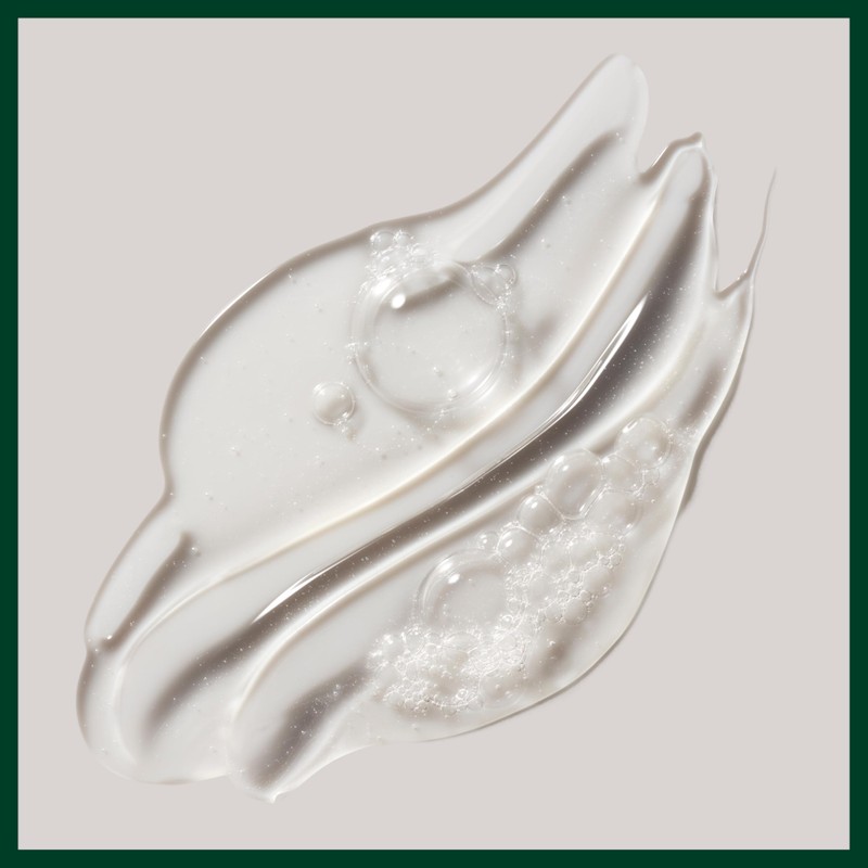 Aveda Rosemary Mint Purifying Shampoo & Conditioner Gift Set |