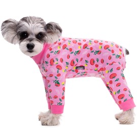 Paipeper Dog Surgery Recovery Suit for Female Male Puppy,Dog Bodysuit Long Sleeve Prevent Shedding and Licking Wound,Dog Pajamas,E-Collar Cone Alternative(Fruit-Female Dog-m)
