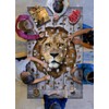 Madd Capp Puzzles - I AM Lion - 550 Pieces