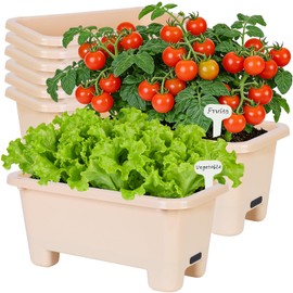 Oliz Self-Watering Rectangle Planter Boxes 8-Pack, 15.7-Inch Window Box Planter with Drainage Holes & Trays, Pots for Vegetables, Herbs, Flowers, Garden Windowsill Balcony (Yellow)