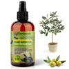𝐁𝐄𝐒𝐓𝐒𝐄𝐋𝐋𝐄𝐑 Plant Superfood for Olive Tree with B1 Vitamin, Glucose