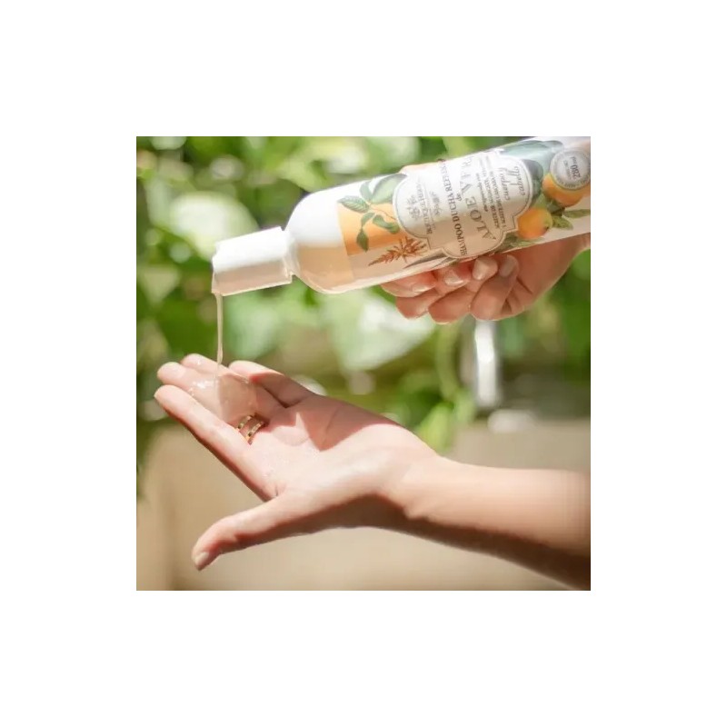 Shampoo de Aloe Vera Orgánico Organic Aloe Vera Shampoo Body